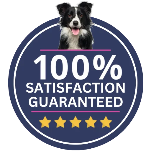 100 satisfaction