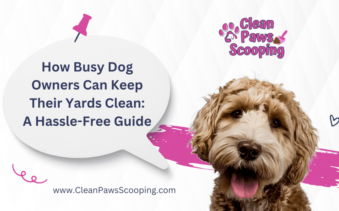 How Busy Dog Owners Can Keep Their Yards Clean: A Hassle-Free Guide
