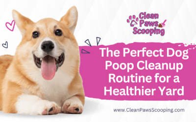 The Perfect Dog Poop Cleanup Routine for a Healthier Yard