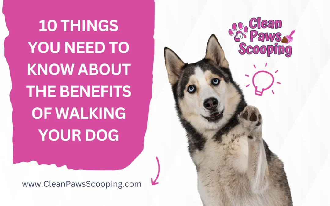 10 Things You Need to Know About the Benefits of Walking Your Dog