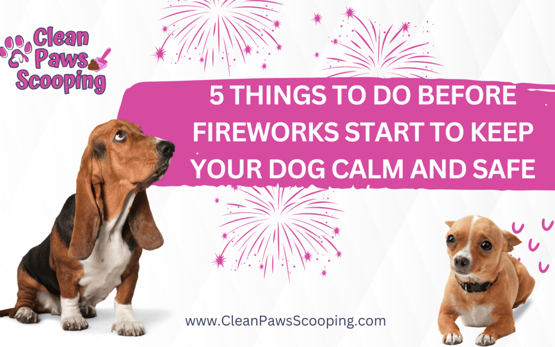 5 Things to Do Before Fireworks Start to Keep Your Dog Calm and Safe