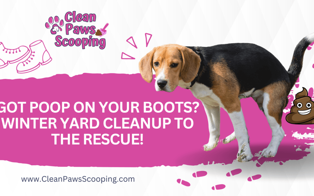 Got Poop on Your Boots? Winter Yard Cleanup to the Rescue!