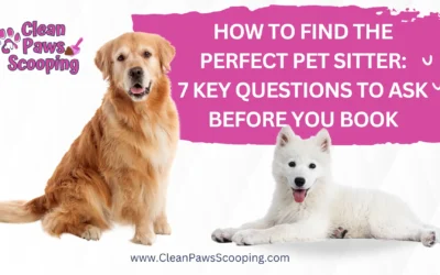 Top 10 Dog Breeds for First-Time Owners: What to Expect