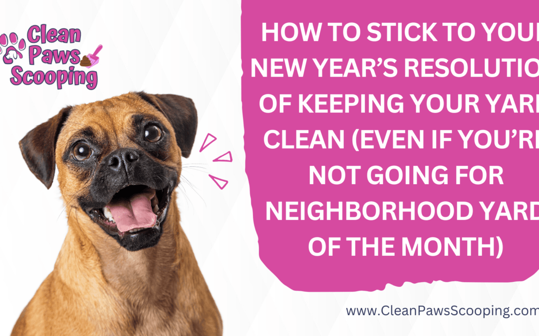 How to Stick to Your New Year’s Resolution of Keeping Your Yard Clean (Even If You’re Not Going for Neighborhood Yard of the Month)