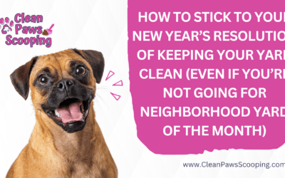 How to Stick to Your New Year’s Resolution of Keeping Your Yard Clean (Even If You’re Not Going for Neighborhood Yard of the Month)