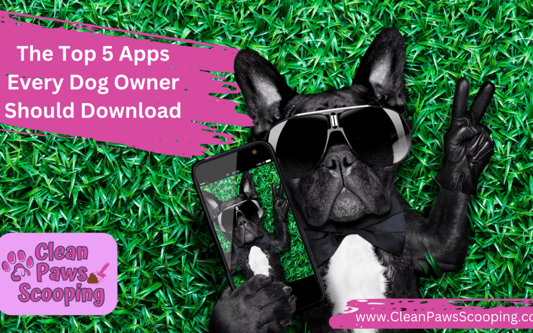 The Top 5 Apps Every Dog Owner Should Download