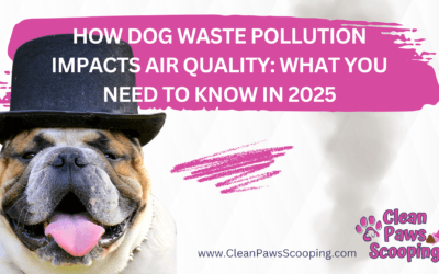 How Dog Waste Pollution Impacts Air Quality: What You Need to Know in 2025