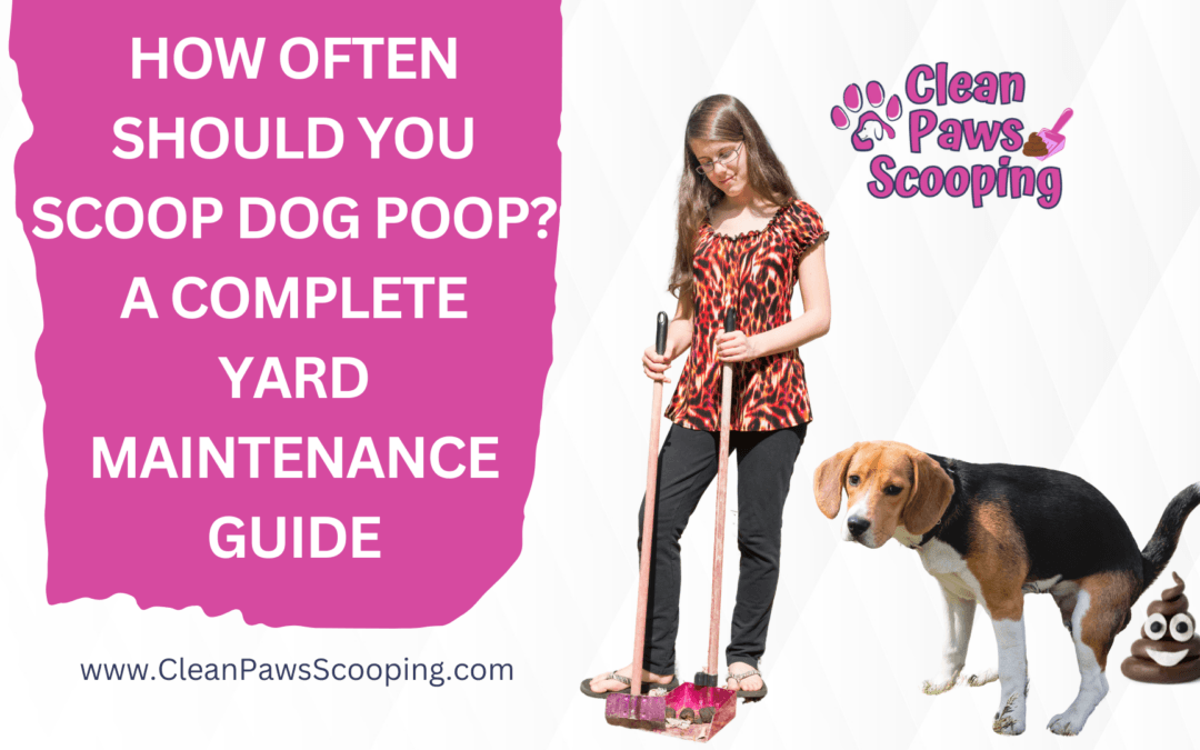 How Often Should You Scoop Dog Poop? A Complete Yard Maintenance Guide