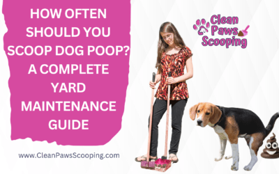 How Often Should You Scoop Dog Poop? A Complete Yard Maintenance Guide