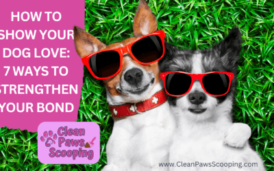 How to Show Your Dog Love: 7 Ways to Strengthen Your Bond