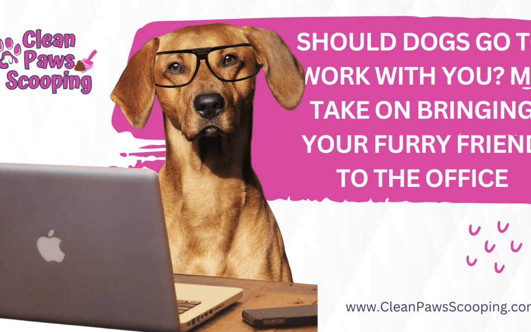 Should Dogs Go to Work With You? My Take on Bringing Your Furry Friend to the Office