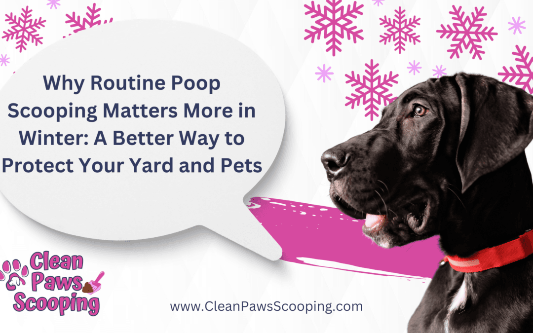 Why Routine Poop Scooping Matters More in Winter: A Better Way to Protect Your Yard and Pets