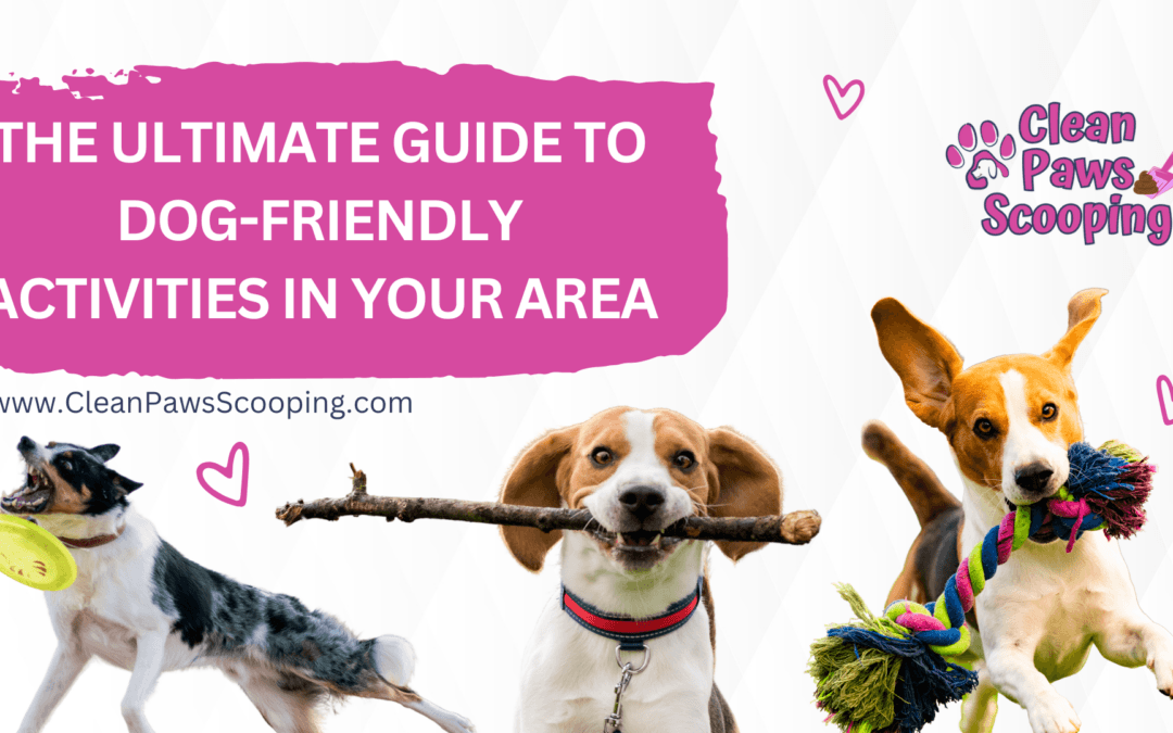 The Ultimate Guide to Dog-Friendly Activities in Your Area