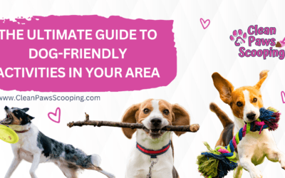 The Ultimate Guide to Dog-Friendly Activities in Your Area