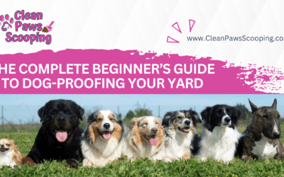 The Complete Beginner’s Guide to Dog-Proofing Your Yard