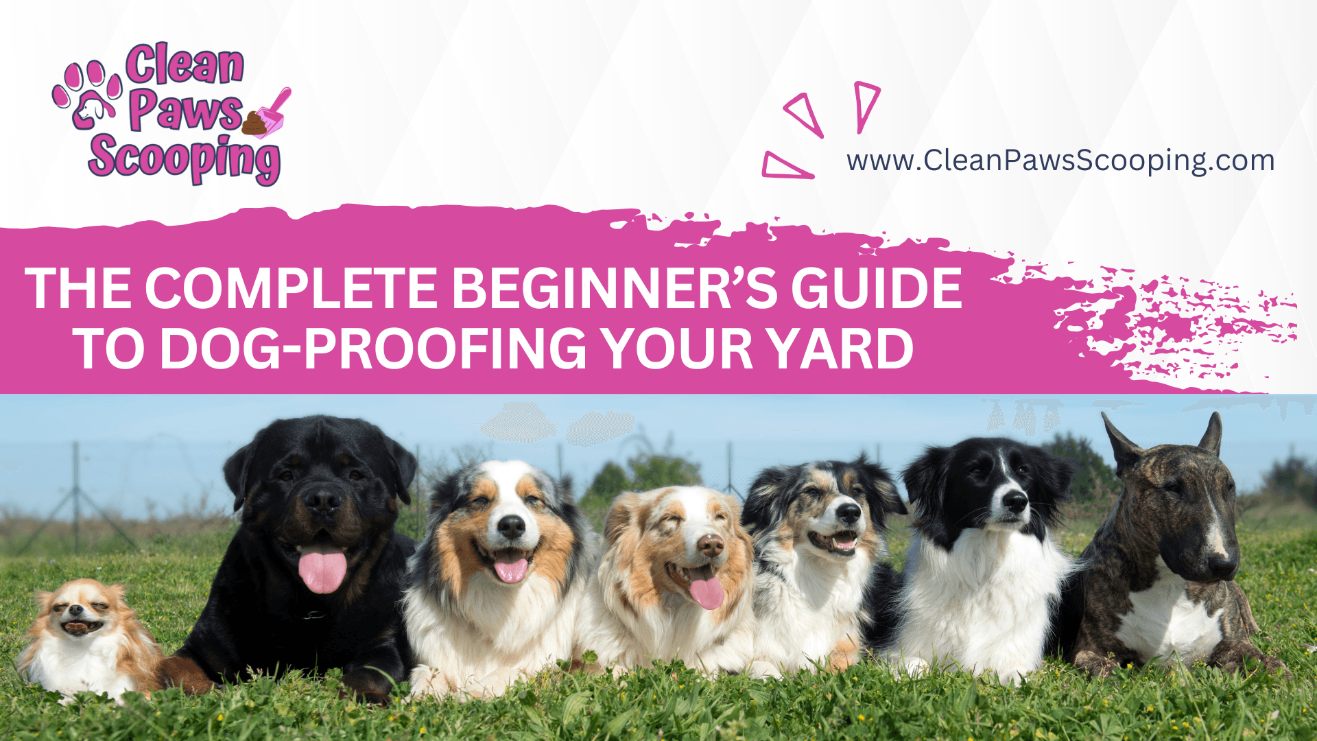 Got_Poop_on_Your_Boots_Winter_Yard_Cleanup_to_the_Rescue!