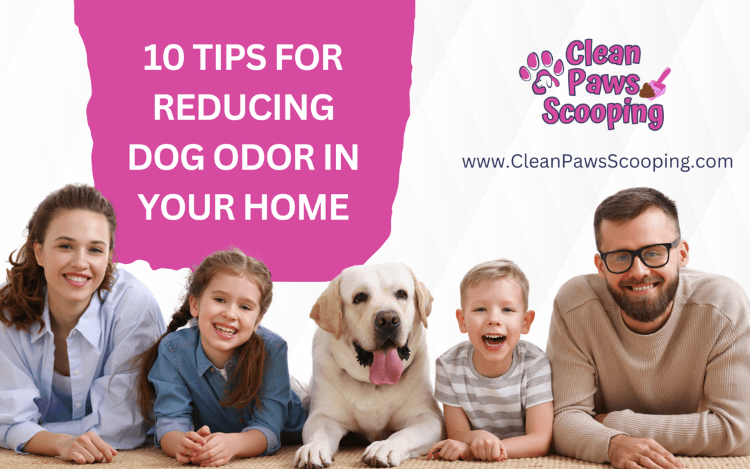 10 Tips for Reducing Dog Odor in Your Home