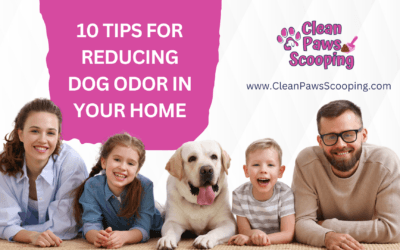 10 Tips for Reducing Dog Odor in Your Home