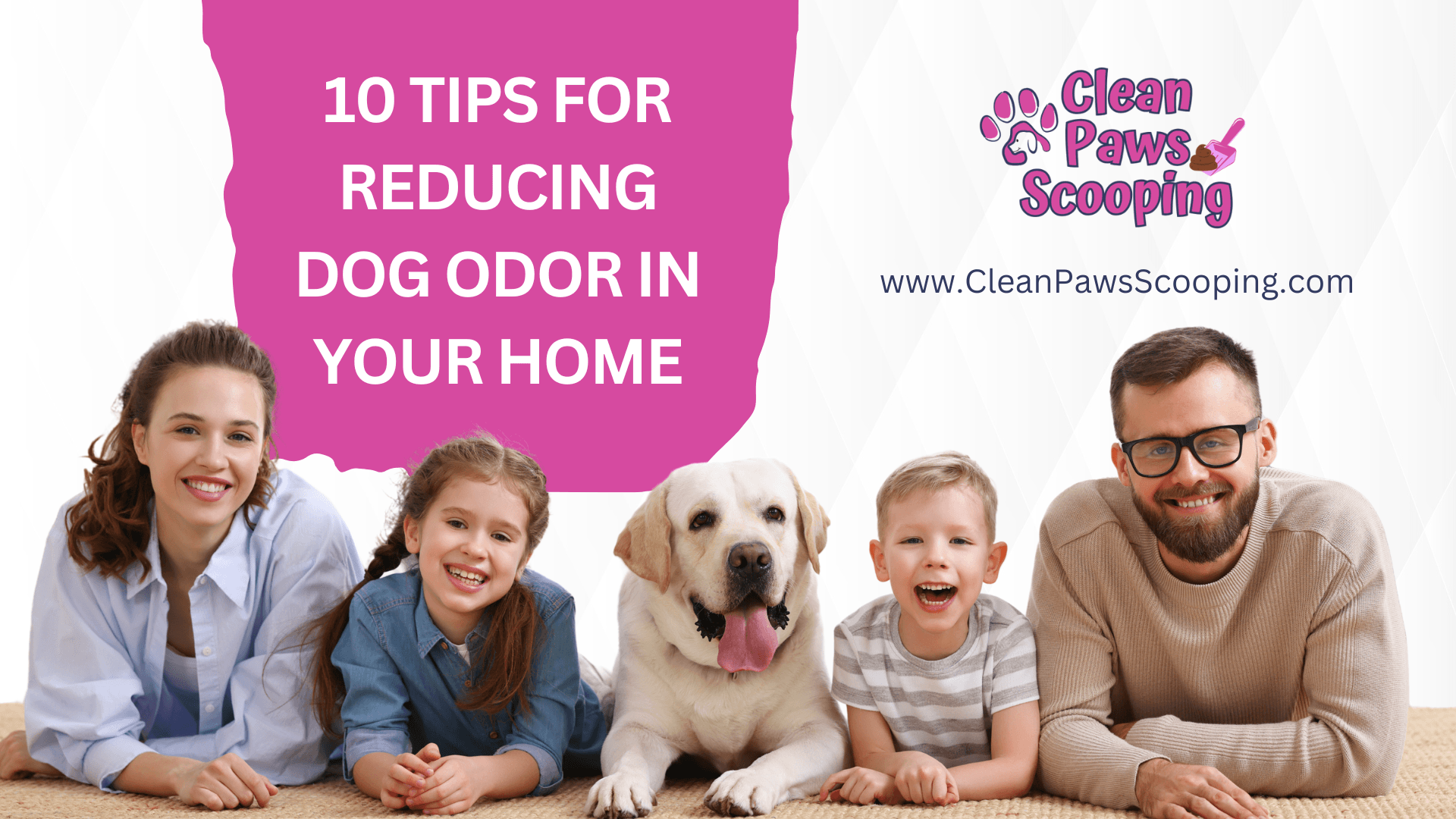 How_Often_Should_You_Scoop_Dog_Poop_A_Complete_Yard_Maintenance_Guide (1)