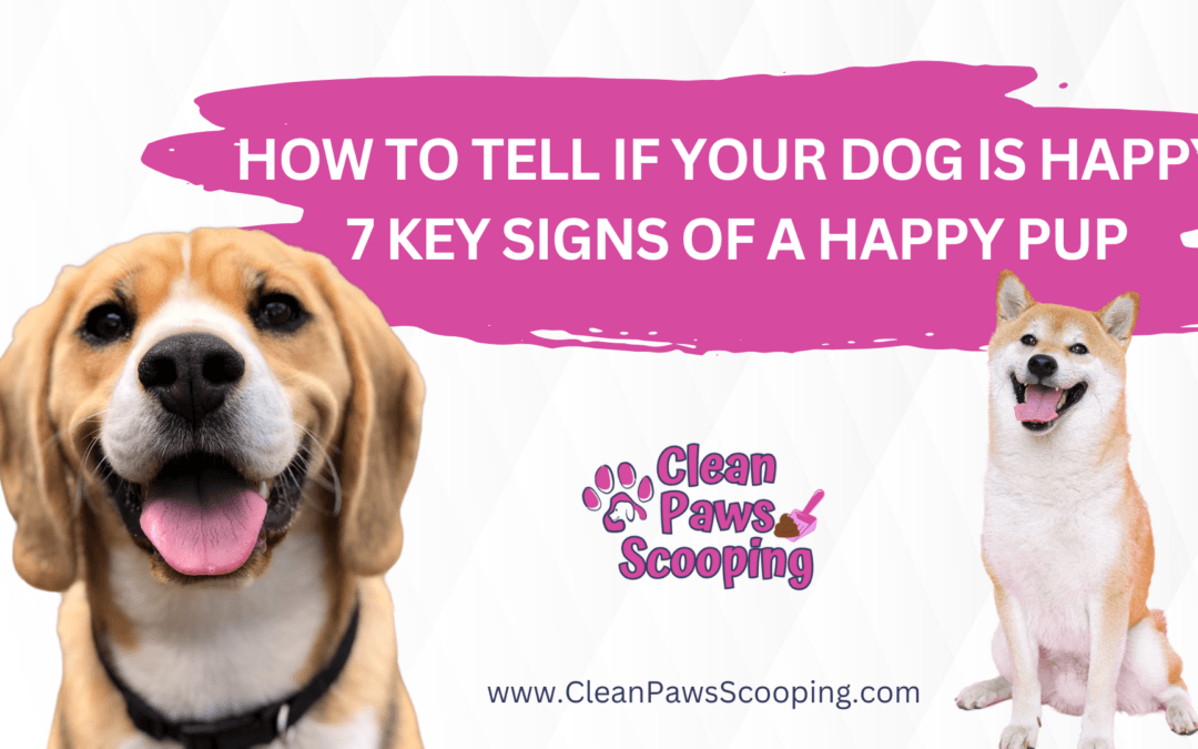 How to Tell If Your Dog Is Happy: 7 Key Signs of a Happy Pup