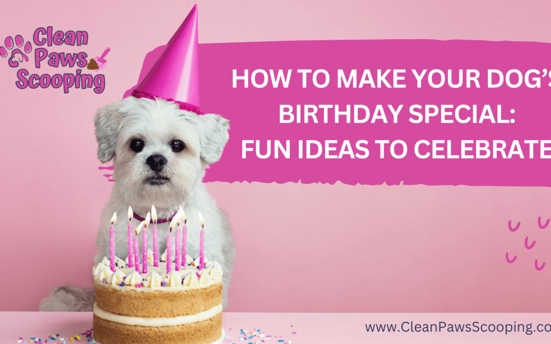 How to Make Your Dog’s Birthday Special: Fun Ideas to Celebrate