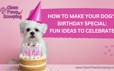 How to Make Your Dog’s Birthday Special: Fun Ideas to Celebrate