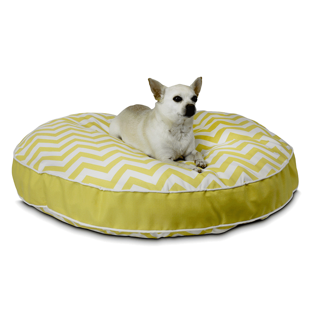 dog bed