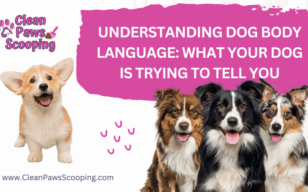Understanding Dog Body Language: What Your Dog Is Trying to Tell You