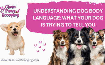 Understanding Dog Body Language: What Your Dog Is Trying to Tell You
