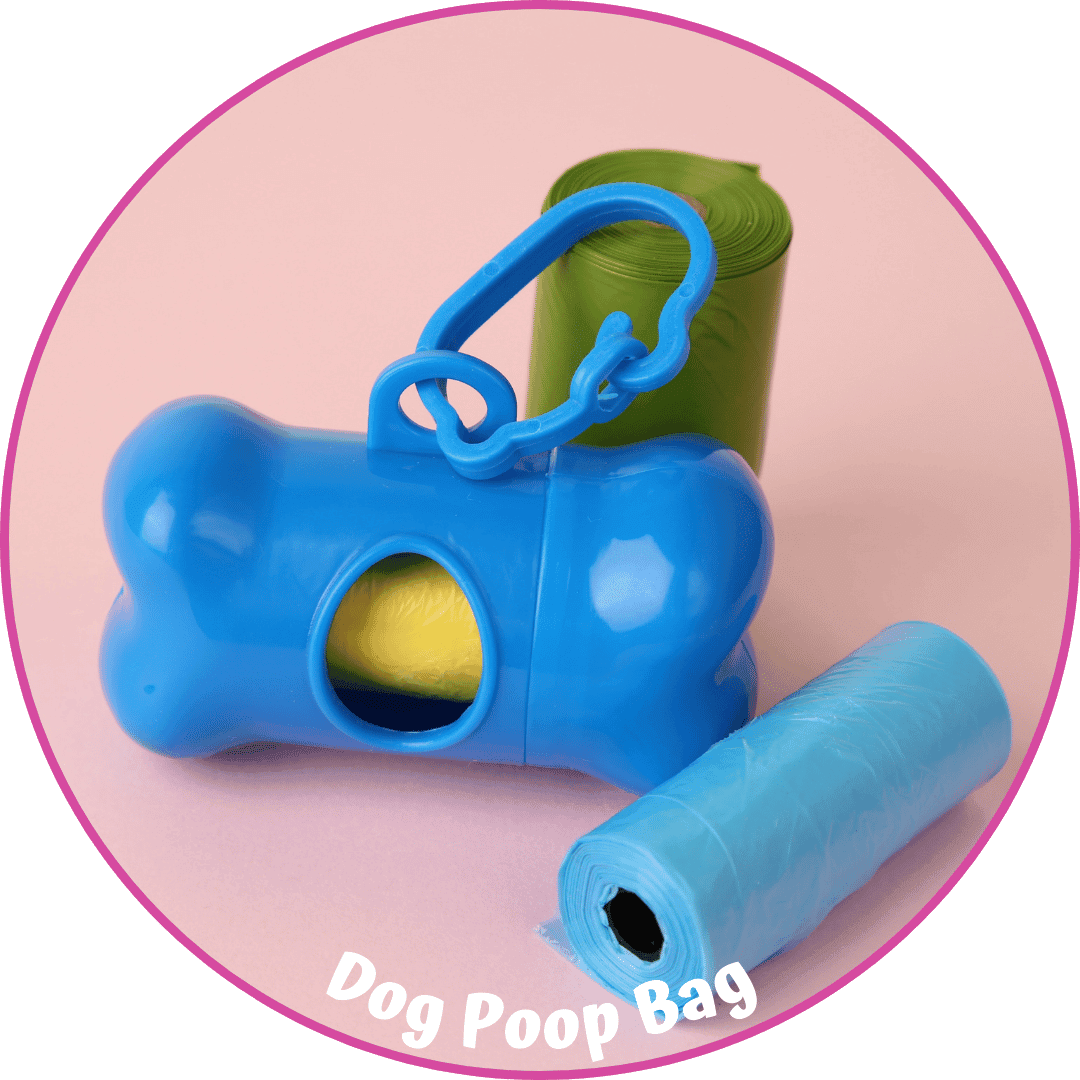 Dog Leash and Collar (4)