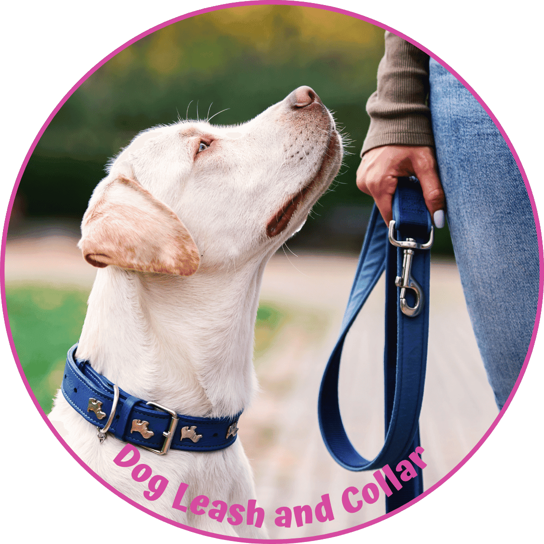Dog Leash and Collar
