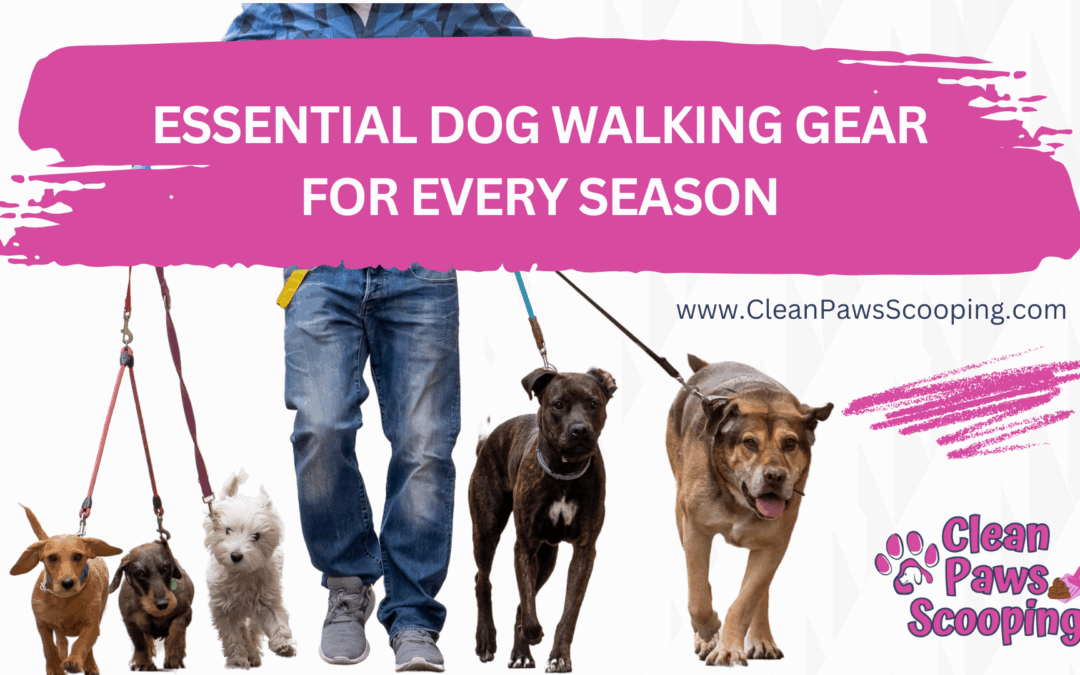 Essential Dog Walking Gear for Every Season