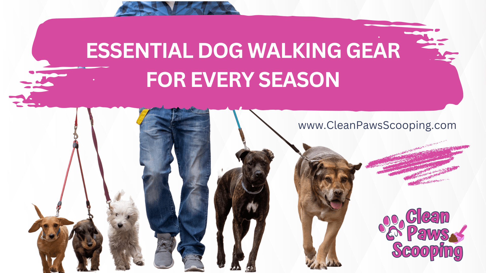 How_Dog_Waste_Pollution_Impacts_Air_Quality_What_You_Need_to_Know_in_2025 (1)