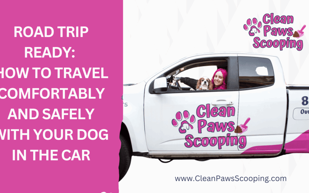 Road Trip Ready: How to Travel Comfortably and Safely with Your Dog in the Car