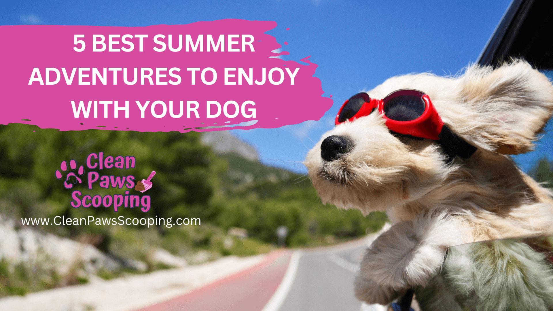 5_Best_Summer_Adventures_to_Enjoy_with_Your_Dog