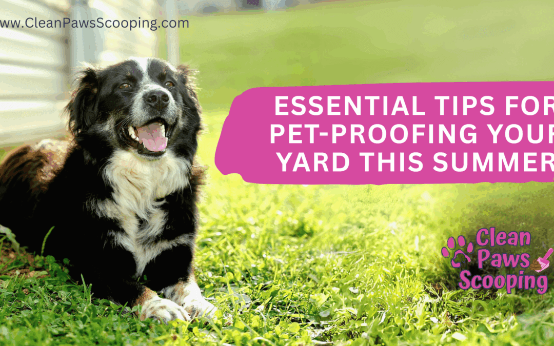 Essential Tips for Pet-Proofing Your Yard This Summer