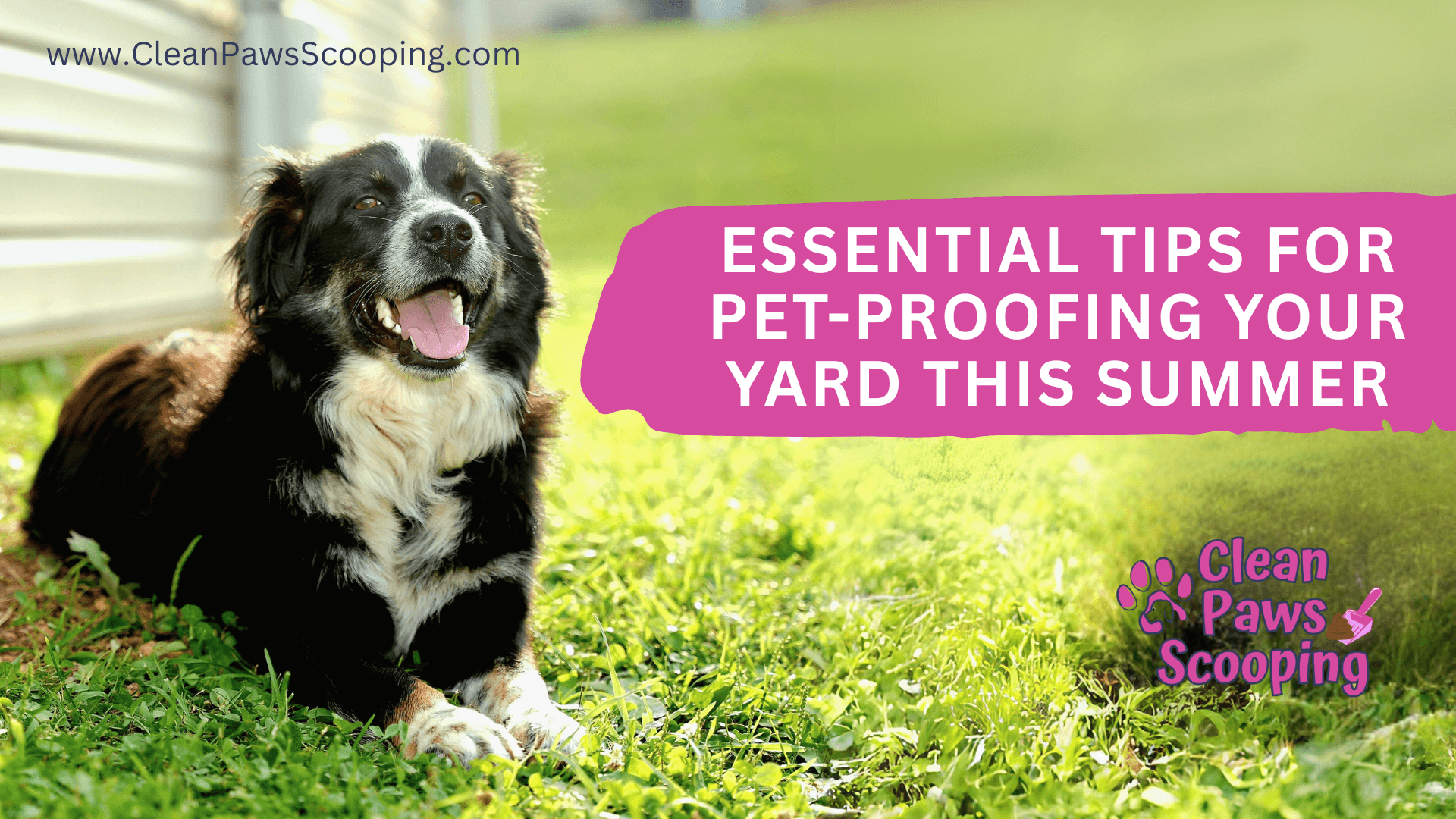 Essential_Tips_for_Pet-Proofing_Your_Yard_this_Summer