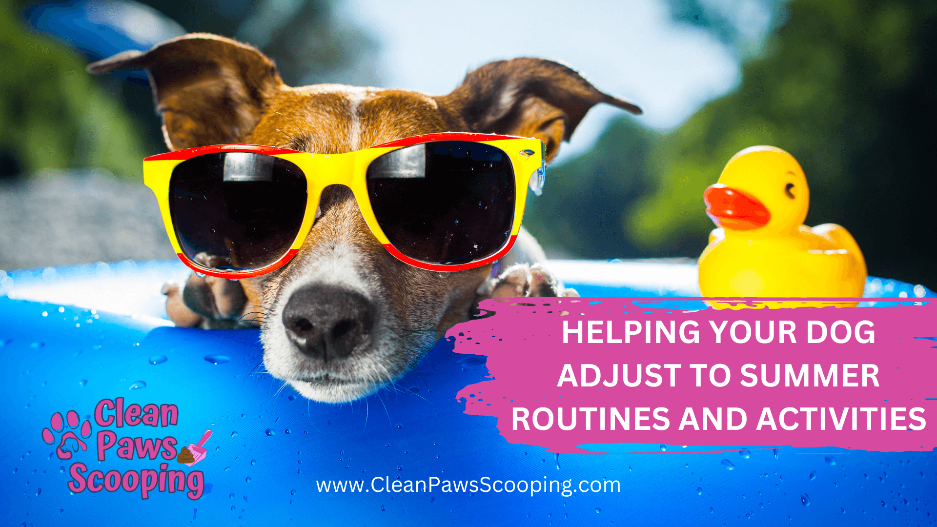 Helping_Your_Dog_Adjust_to_Summer_Routines_and_Activities (1)