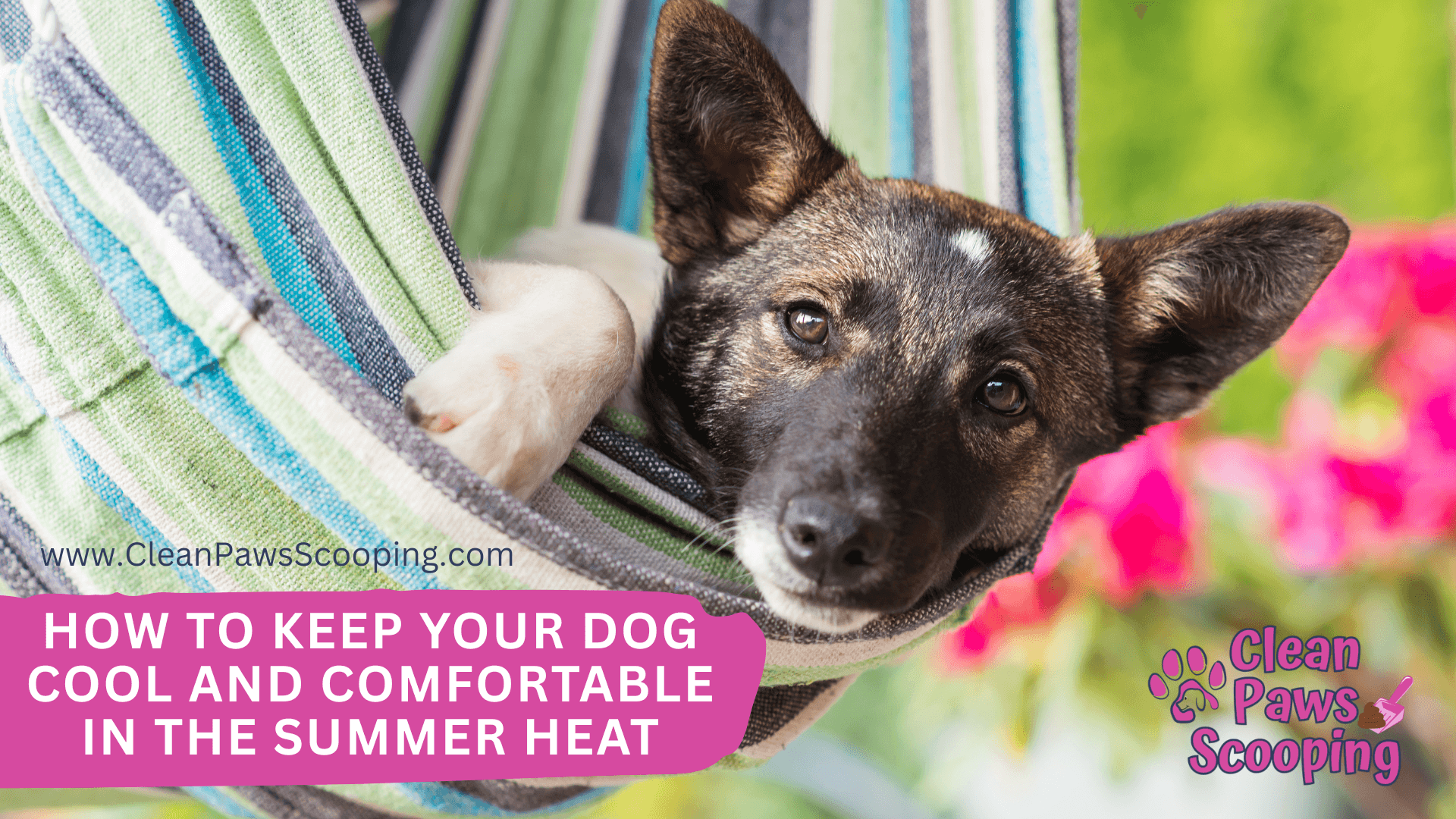 How_to_Keep_Your_Dog_Cool_and_Comfortable_in_the_Summer_Heat