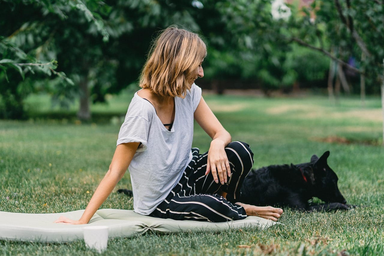 dog_picnic