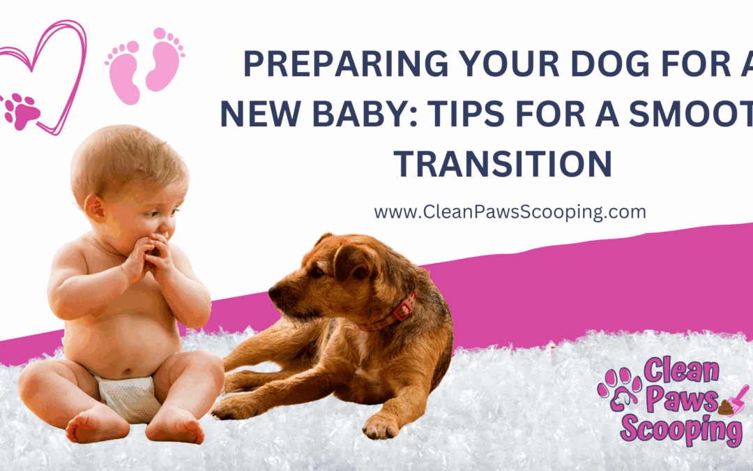 Preparing Your Dog for a New Baby: Tips for a Smooth Transition