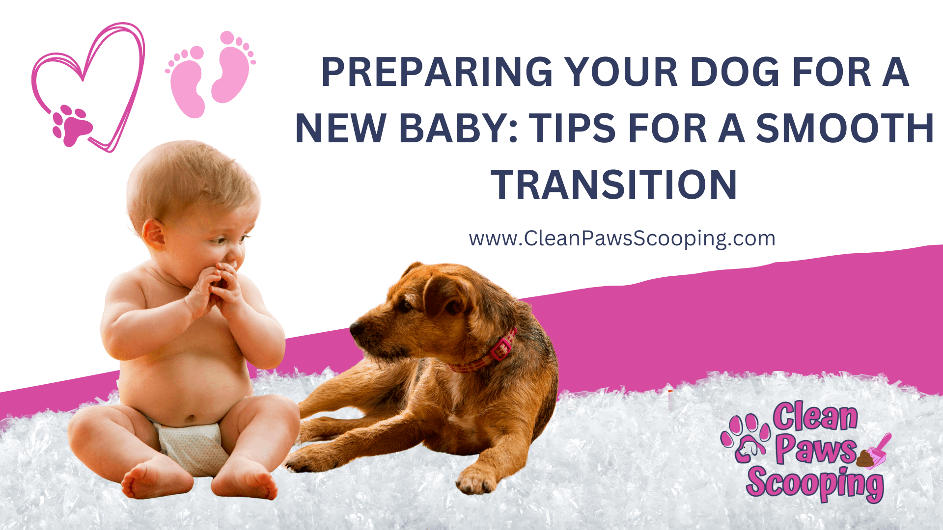 Preparing_Your_Dog_for_a_New_Baby_Tips_for_a_Smooth_Transition