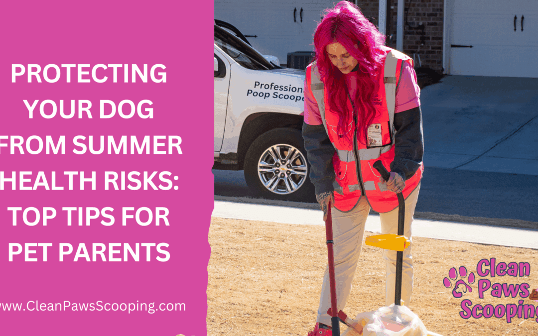 Protecting Your Dog from Summer Health Risks: Top Tips for Pet Parents