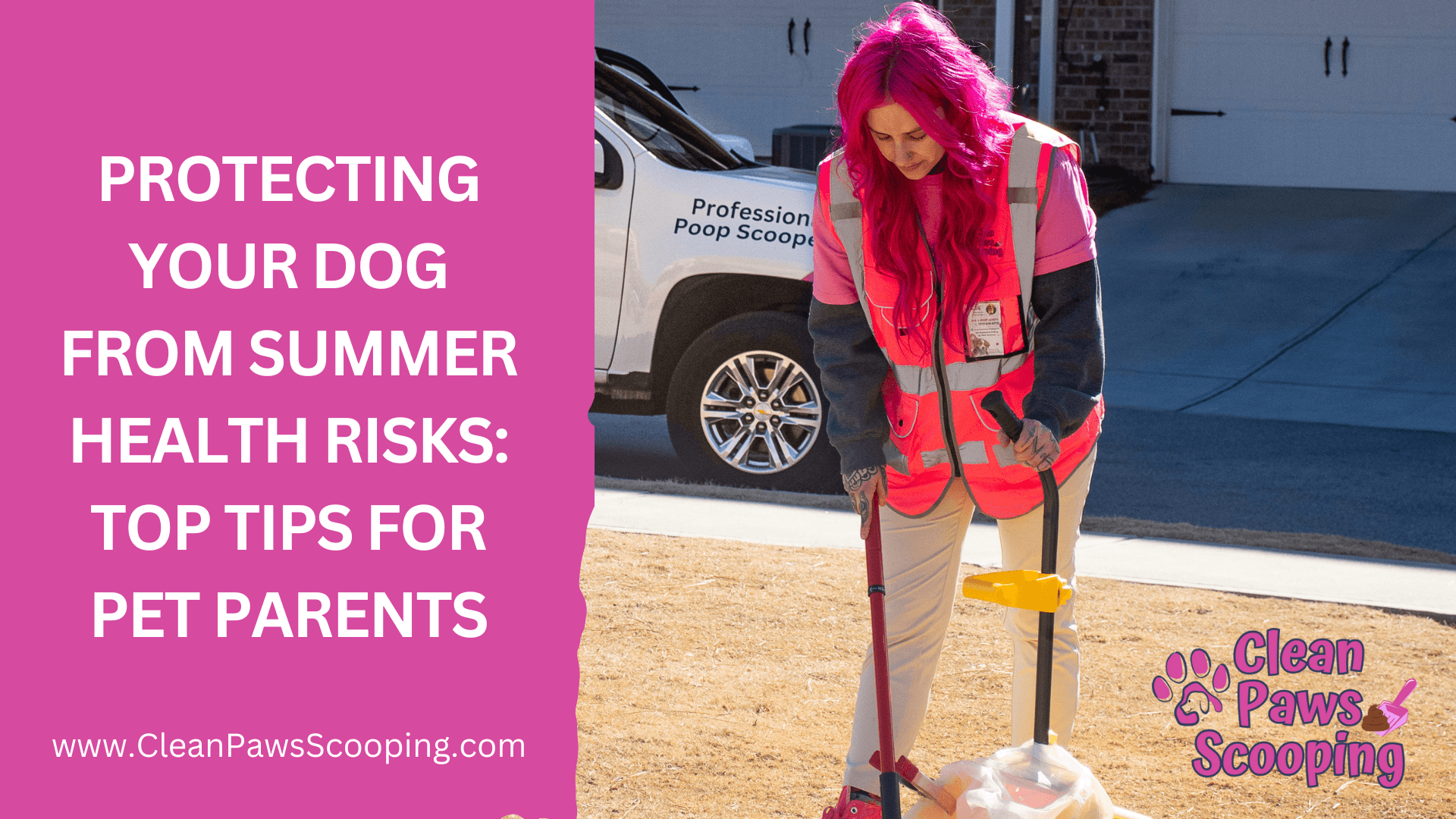 Protecting_Your_Dog_from_Summer_Health_Risks_Top_Tips_for_Pet_Parents