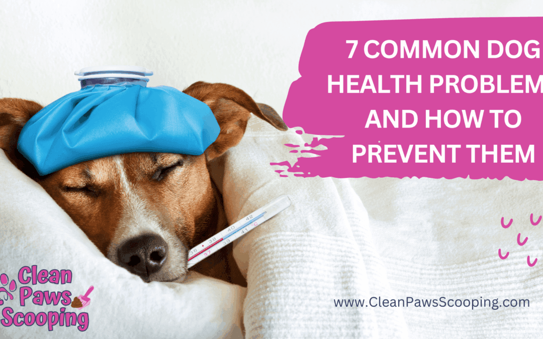 7 Common Dog Health Problems and How to Prevent Them