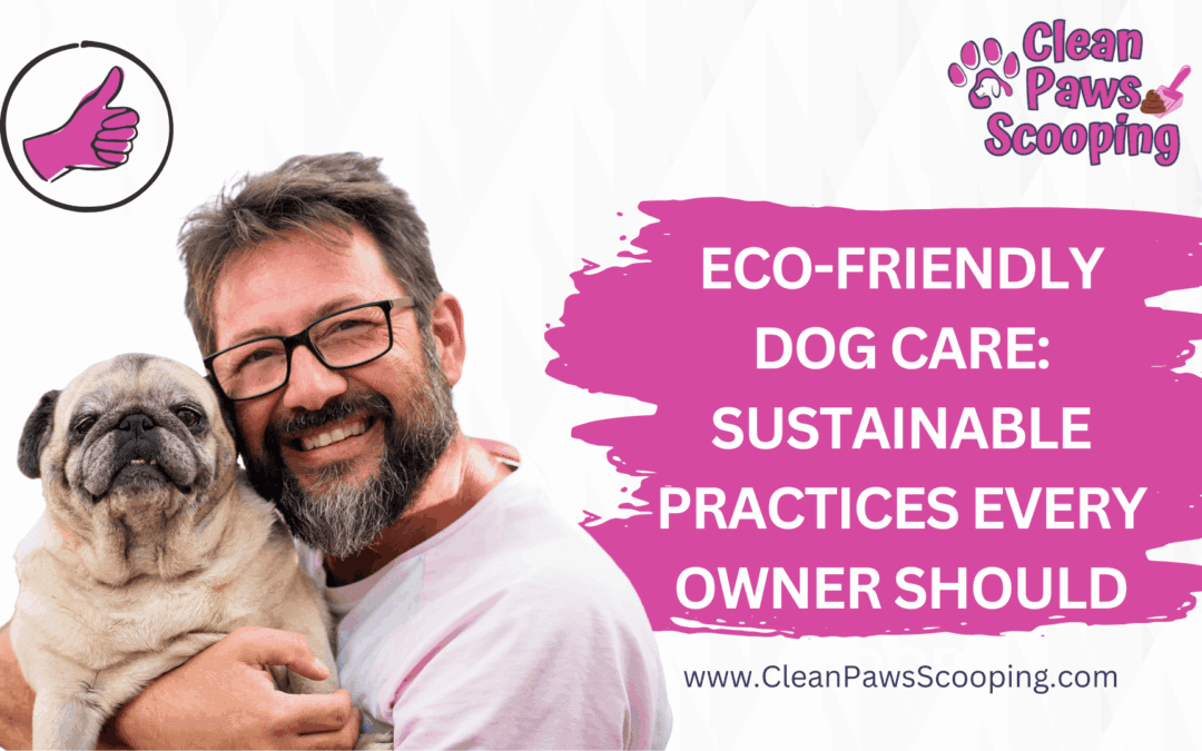 Eco Friendly Dog Care Sustainable Practices Every Owner Should Adopt