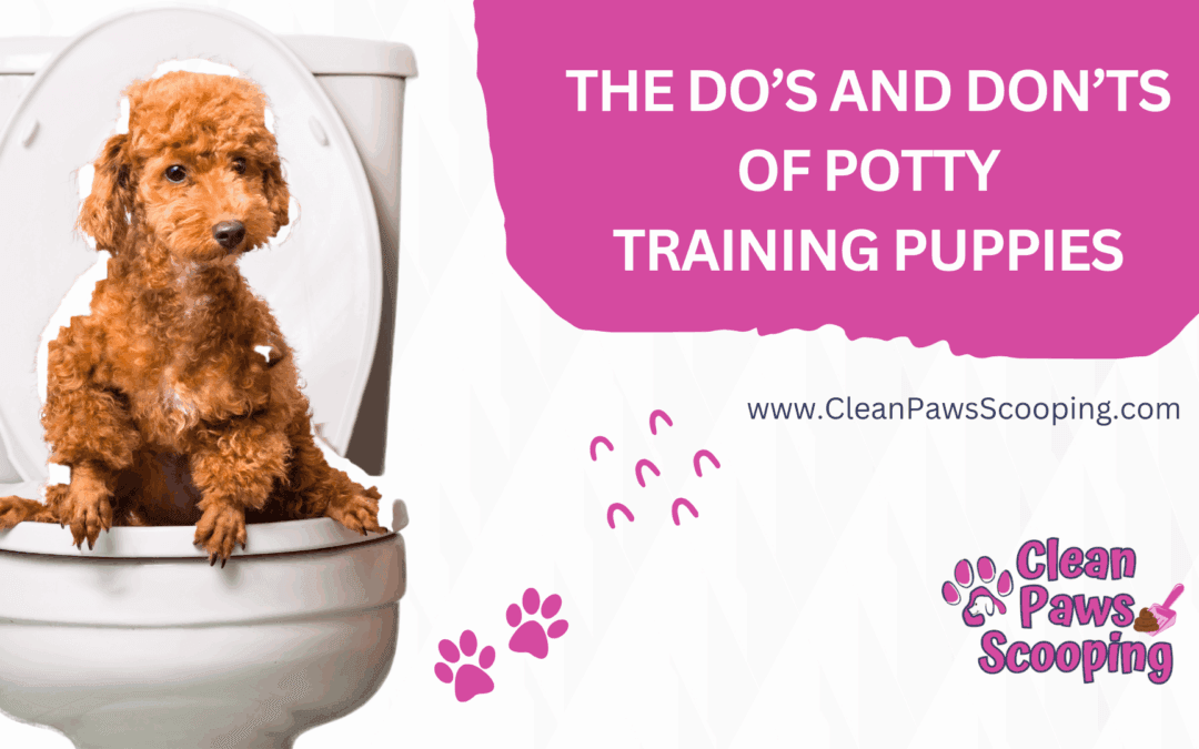 The Do’s and Don’ts of Potty Training Puppies