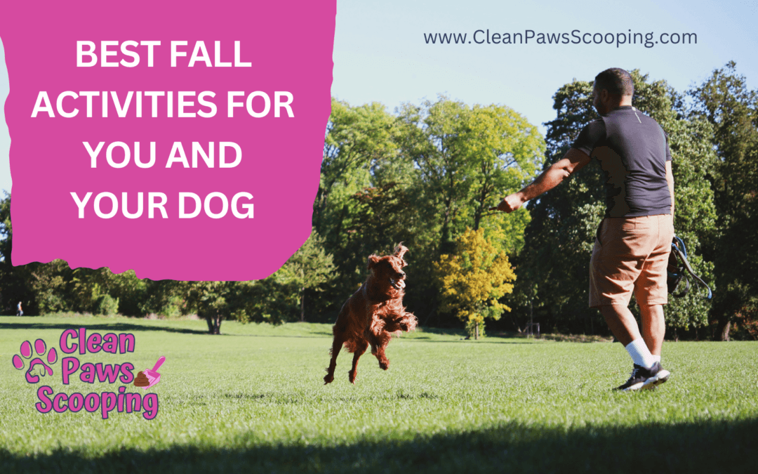 Best Fall Activities for You and Your Dog