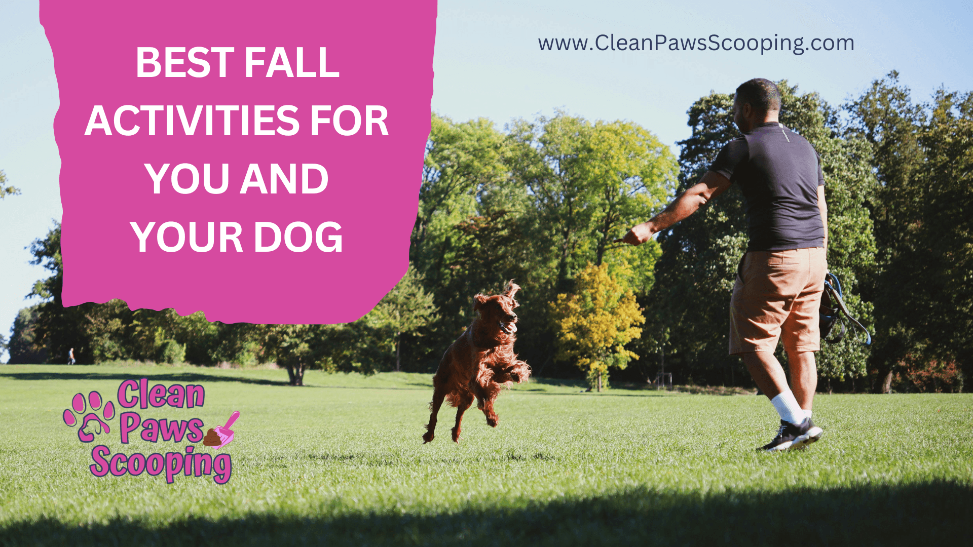 Best_Fall_Activities_for_You_and_Your_Dog