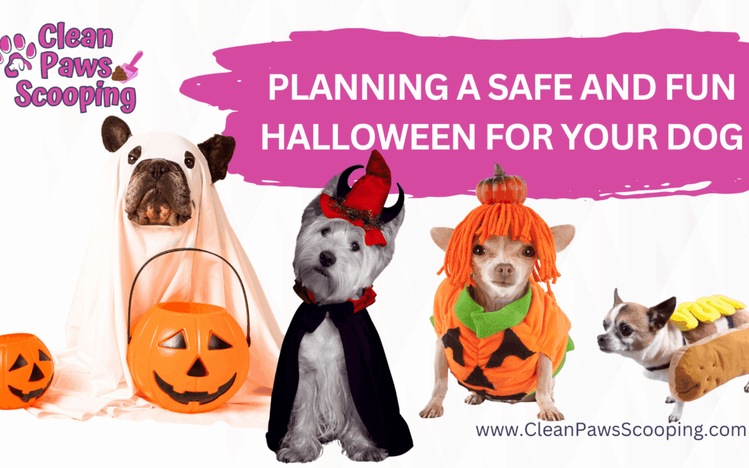 Planning a Safe and Fun Halloween for Your Dog